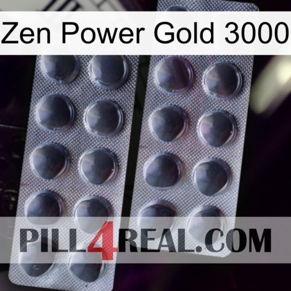 Zen Power Gold 3000 31.jpg